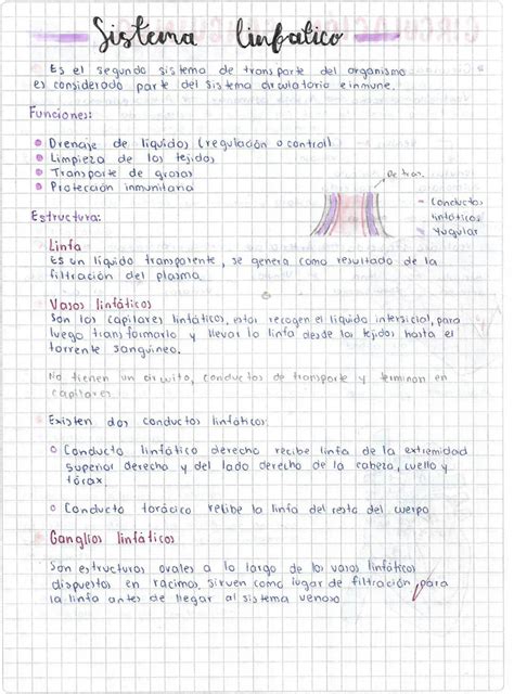 Solution Sistema Linfatico Studypool