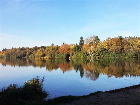 Discover a Waterfall and Roman Ruins at Virginia Water – Toddle Doddle