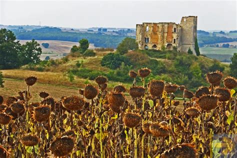 History | Camino de Santiago Forum