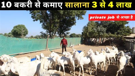 कम खर्च में कैसे शुरू करे बकरी पालन I Bakripalan Goatfarming Youtube