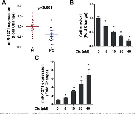 Figure From Mir Negatively Regulates Akt Mtor Signaling And