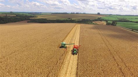 Agrural Colheita Da Safrinha Chega A Da Rea No Centro Sul