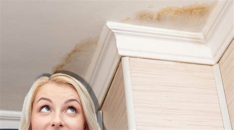 fix leaks  prevent mold infestation  springfield missouri