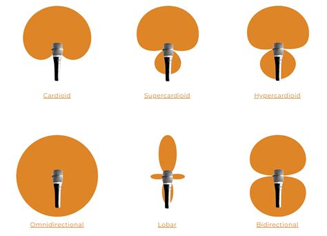 What Are The Main 3 Polar Pattern Types Found With Microphones