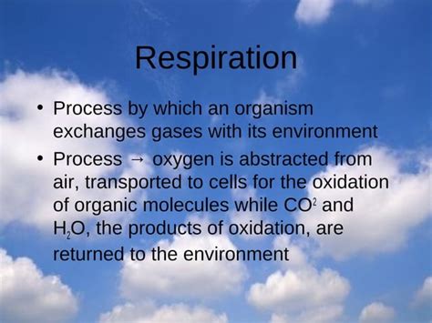 4 The Oxygen Cycle Ppt