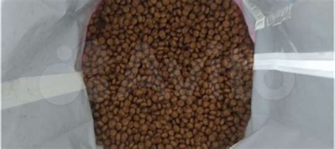 Продажа кормов для собак и кошек купить в Новосибирске | Животные и ...