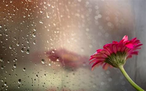 Beautiful Rain Wallpapers - Top Free Beautiful Rain Backgrounds - WallpaperAccess