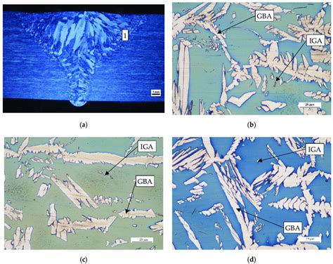 Microstructure Of The Haz A Transverse Cross Section Of Weld B