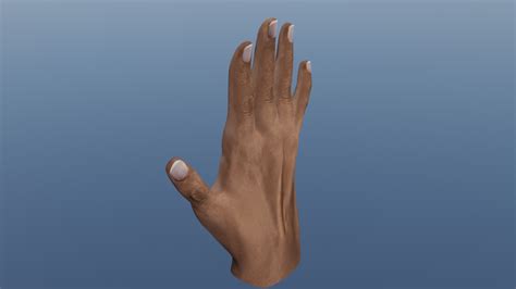 ArtStation - Hand Rigged 3D model | Game Assets