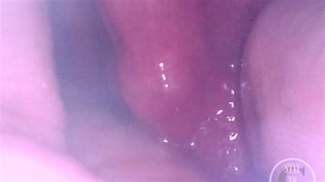 POV Fisting Filmed From Deep Inside My Ass Shemale Amateur Porn Feat Lina Free XHamster