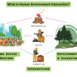 human environment interaction examples explained