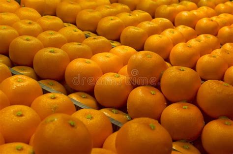 Chinese New Year Mandarin Oranges Stock Photo Image Of Holiday Fruit