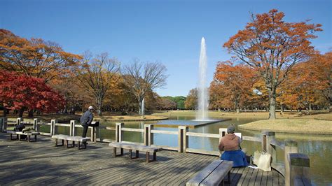 Best Parks And Grand Green Spaces To Enjoy In Tokyo