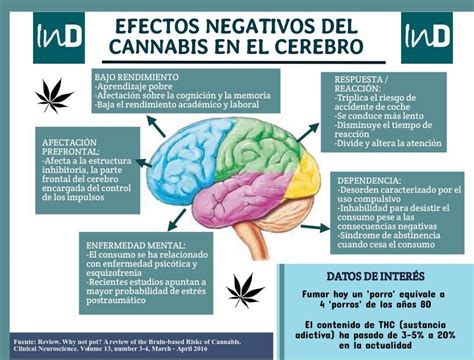 Efectos Negativos Del Cannabis En El Cerebro