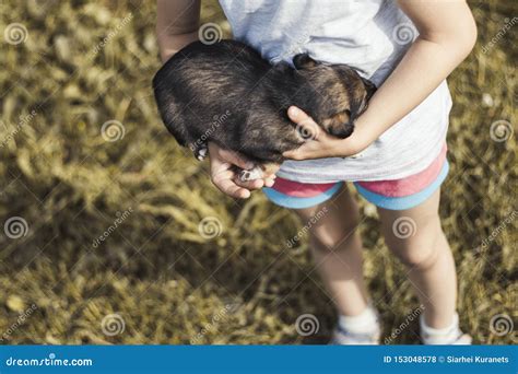 Fille Tenant Un Chien Dans Des Ses Bras Dans Des Ses Mains Elle Fait