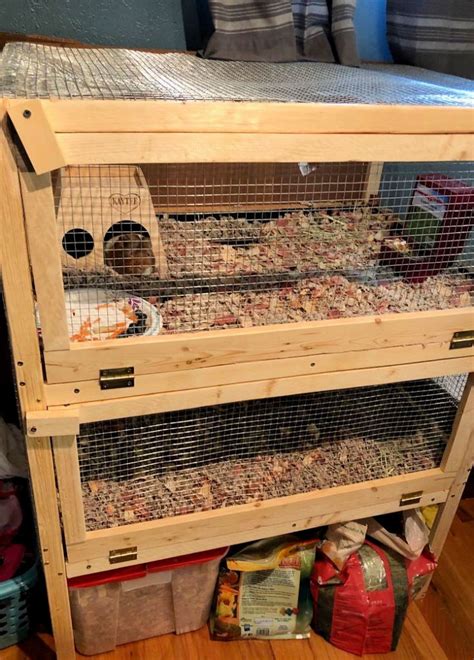 20 Homemade DIY Guinea Pig Cage Ideas