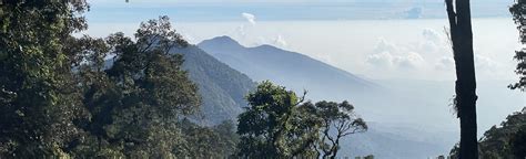 mount pangrango  reviews map west java indonesia alltrails