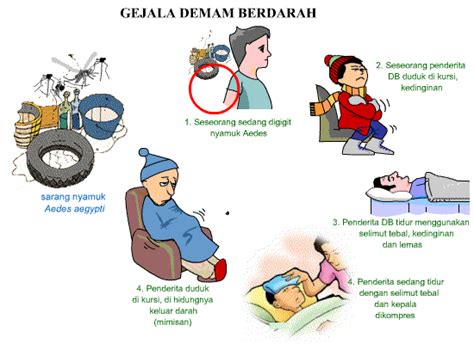 Syefrina Yuwinda Sap Demam Berdarah Dengue Dbd