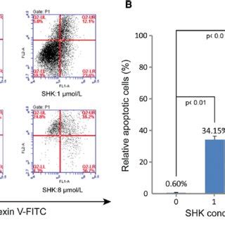 The Effect Of Shikonin On Cell Cycle Of A Cells A Flow Cytometric