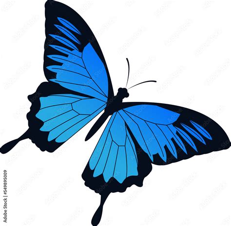 Butterfly Illustration Png Stock Illustration Adobe Stock