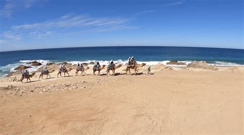 Best Things To Do In Cabo San Lucas Mexico Island Hopper Tv