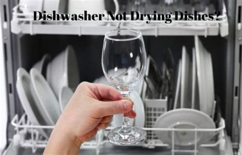 Dishwasher Not Drying Dishes 4 Simple Reasons Why