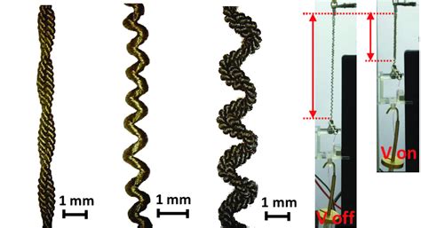 The Coiled Structure Of A A Non Mandrel Coiled And B A Download Scientific Diagram