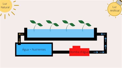 ¿qué Es La Hidroponía Y Cómo Funciona La Hidroponía Plantaciones Hidropónicas