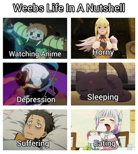 Weebs: : r/animememes