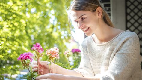 Los Mejores Consejos Para Cuidar Tus Plantas Y Jardín Distribuidor