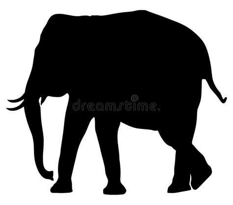 Elephant Silhouette Vector