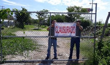 Clausura Profepa Obras En Construcci N Ubicadas Frente Al Acceso A La