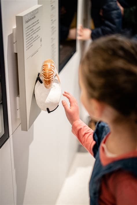 Visite P tits bouchons le coquillage d Anouk musée du vin de