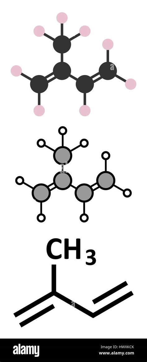 Isoprene, rubber (polyisoprene) building block (monomer). Stylized 2D renderings and ...