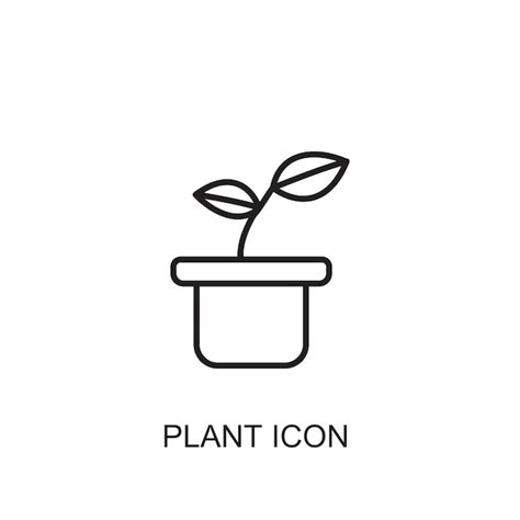 Icono De Icono De Vector De Planta Vector Premium