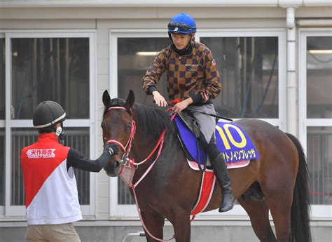 【日本ダービー】サトノインプレッサ絶好枠で逆襲へ ダービー初騎乗坂井が期待応える 競馬ニュース