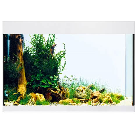 Oase Styleline Aquarium Set Mit Led Und Filter Aquarien