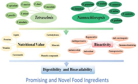 Nutrients Free Full Text Bioactivity And Digestibility Of