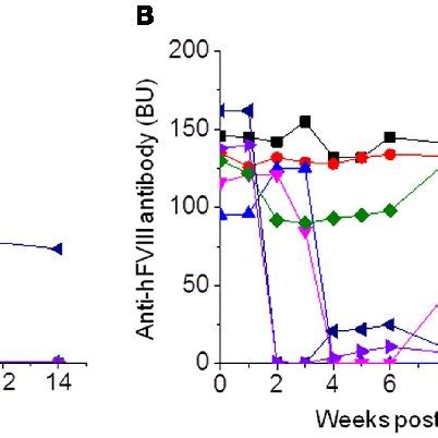 Factor Viii Gene Expression And Anti Fviii Antibody Titers Following