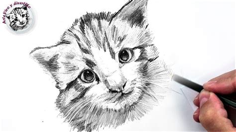 Contestar el teléfono R veinte dibujo gato a lapiz Credo Naufragio conductor