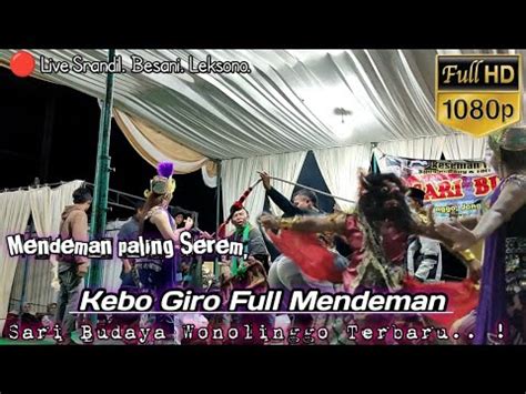 Kebo Giro Mendeman Mistis Sari Budaya Terbaru Live Srandil