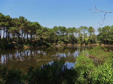 L Tang Les Jacquets Presqu Le Du Cap Ferret L Ge Cap Flickr