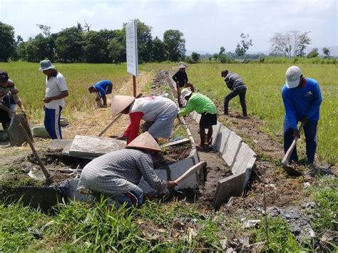 Pembangunan Saluran Irigasi Sawah Di Bulak Karangasem Website