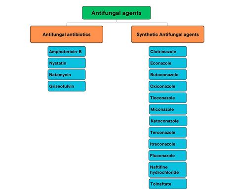 Antifungal Agents Classification Of Antifungal Agents