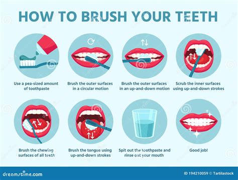 Como Escovar Os Dentes Instru Es Passo A Passo Para A Higiene Oral