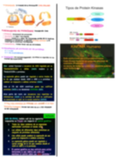 Solution Resumen De Cidos Nucleicos Bioqu Mica Studypool