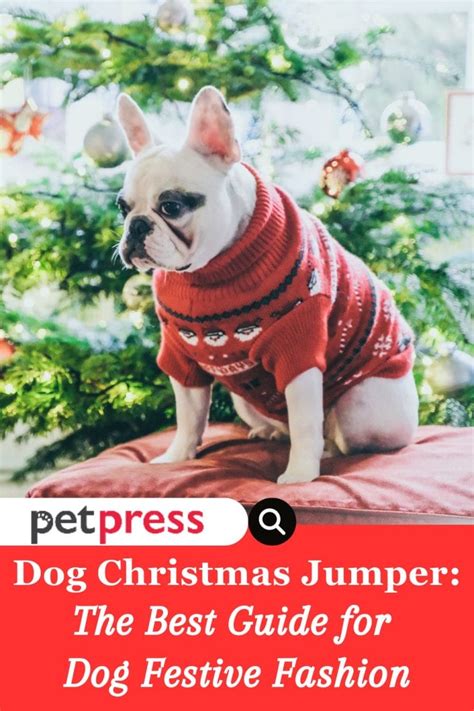 Dog Christmas Jumper: The Best Guide for Dog Festive Fashion