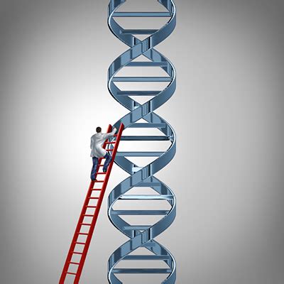 High Range DNA Ladder - Molecular Innovations, Inc.