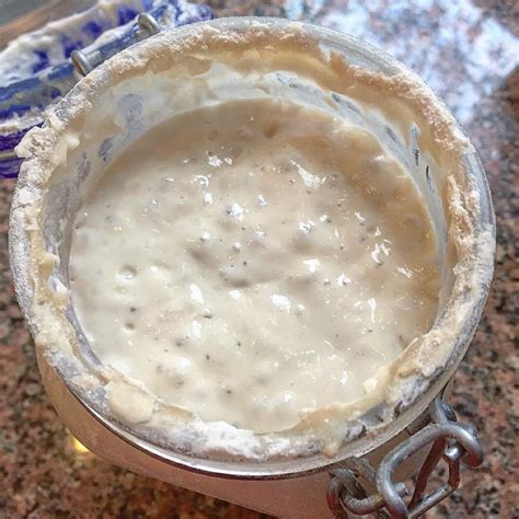 sourdough starter  breadtopia