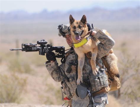 Air Force Tech Sgt Adam Miller Carries Military Working Dog Tina M111